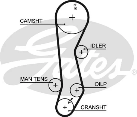 Timing Belt (5389XS)