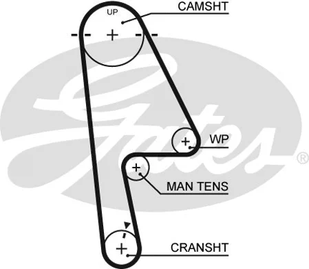 Timing Belt Kit (K015529XS)