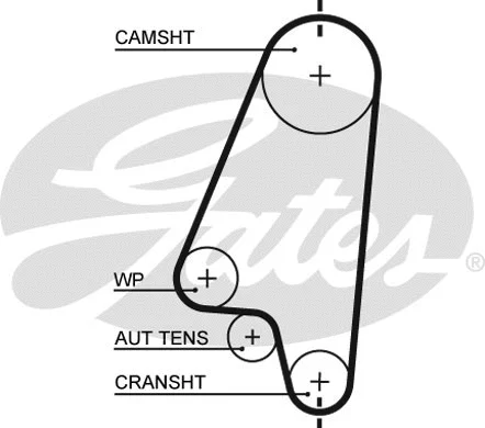 Timing Belt (5310XS)