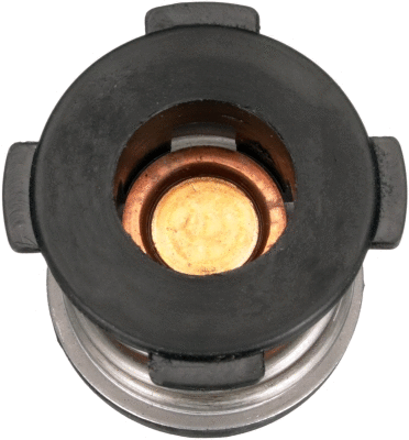 Thermostat, coolant