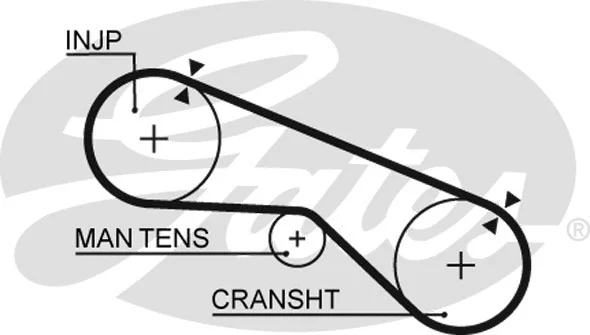 Timing Belt (5199)