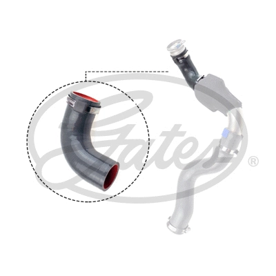 Charge Air Hose (09-0536)