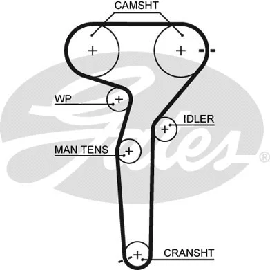 Water Pump & Timing Belt Kit (KP15423XS)