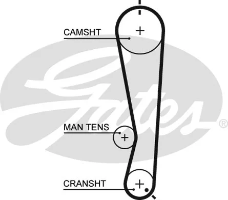 Timing Belt Kit (K015591XS)