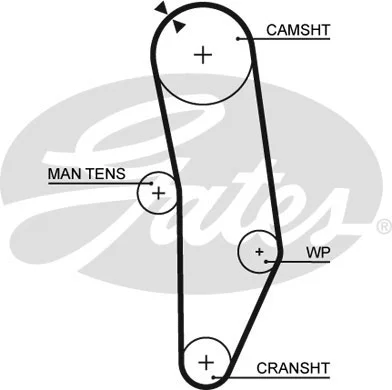 Timing Belt (5010)
