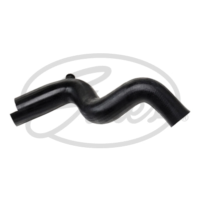 Radiator Hose (3598)