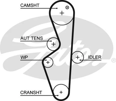 Timing Belt (5617XS)
