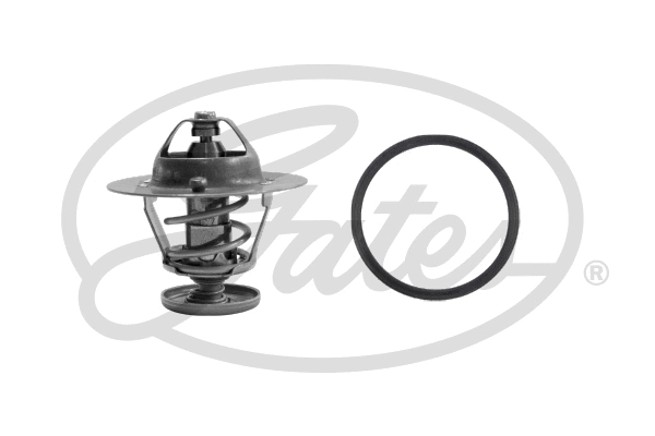 Thermostat, coolant (TH31682G1)