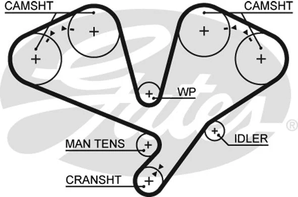 Timing Belt (5353XS)