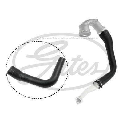 Charge Air Hose (09-0169)