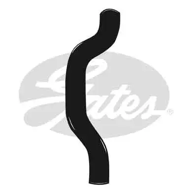 Radiator Hose (3996)