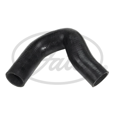 Radiator Hose (3567)