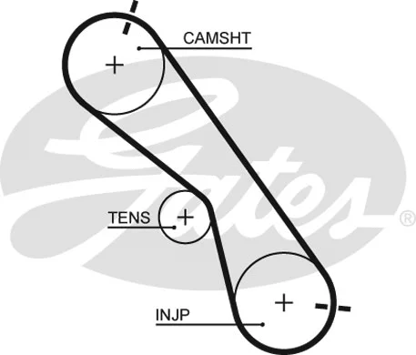 Timing Belt Kit (K025560XS)