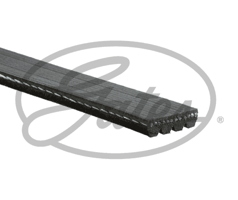 V-Ribbed Belt