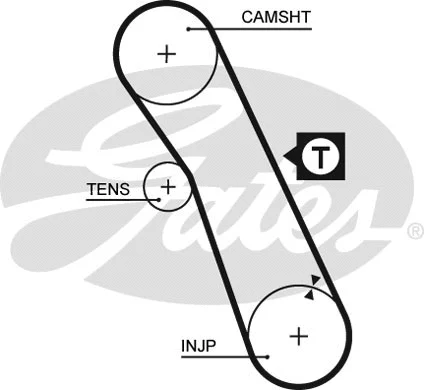 Timing Belt (5055XS)