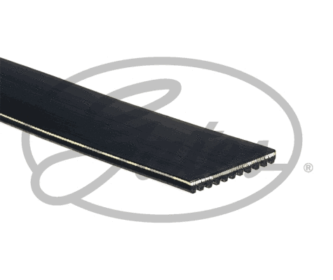 V-Ribbed Belt