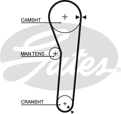Timing Belt (5092)