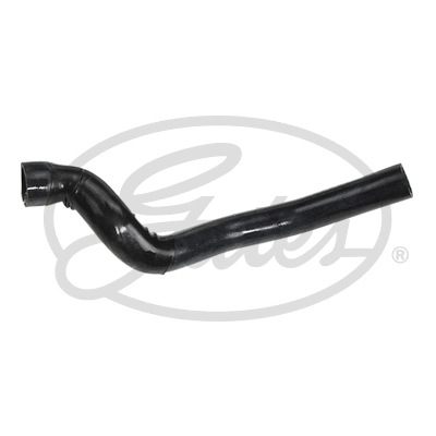 Radiator Hose (3581)