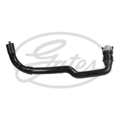 Radiator Hose (3847)