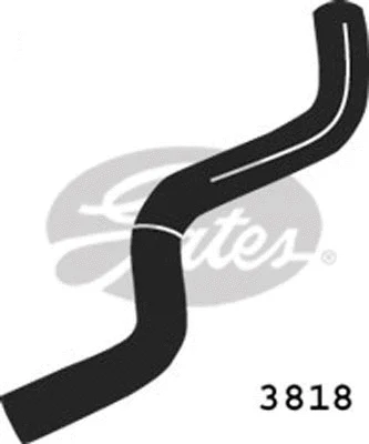 Radiator Hose (3818)