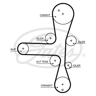 Timing Belt (5701XS)