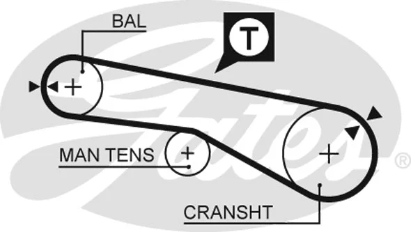 Timing Belt Kit (K015481XS)