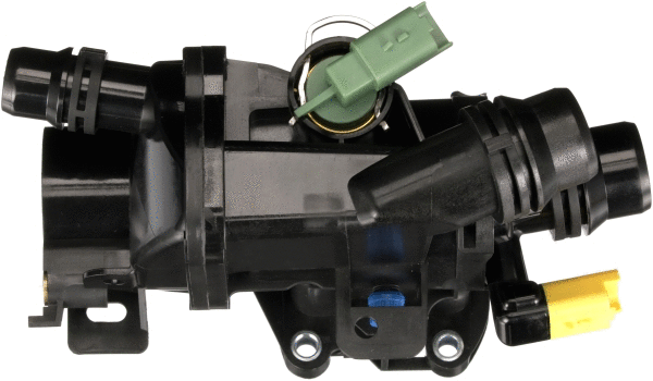 Thermostat, coolant