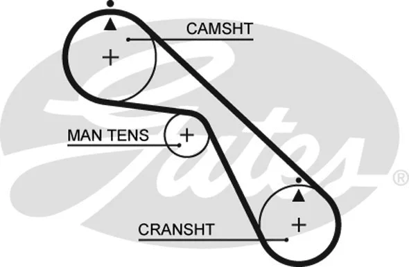 Timing Belt (5530XS)