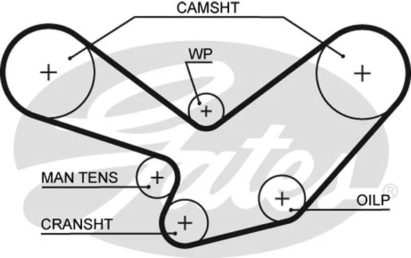 Timing Belt (5098XS)