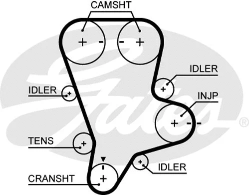 Timing Belt Kit (K015644XS)