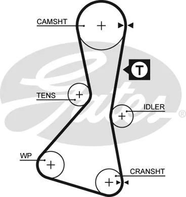Timing Belt (5060XS)