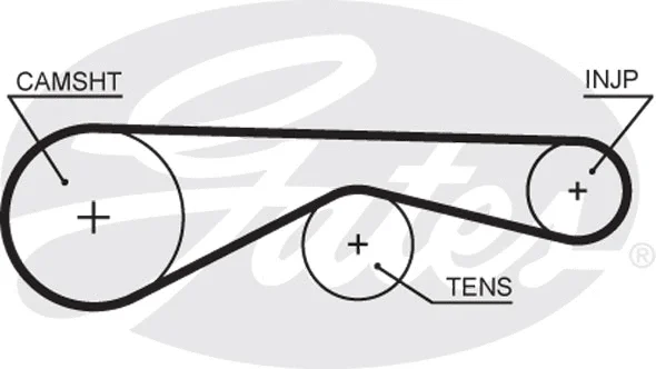 Timing Belt (5677XS)
