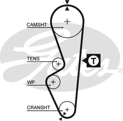 Timing Belt (5070)