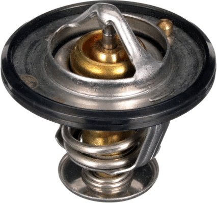 Thermostat, coolant (TH56189G1)
