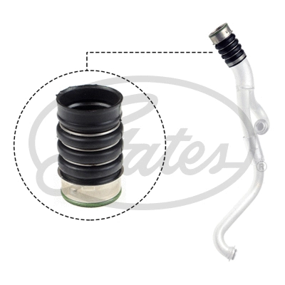 Charge Air Hose (09-0738)