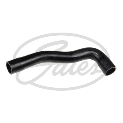 Radiator Hose (3445)