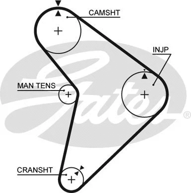 Timing Belt (5307)