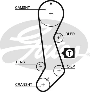 Timing Belt (5358XS)
