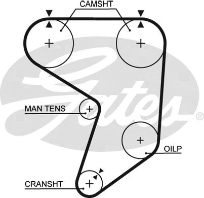 Timing Belt (5195XS)