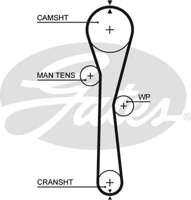 Timing Belt Kit (K015577XS)
