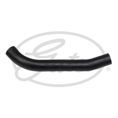 Radiator Hose (3755)