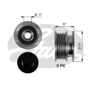 Alternator Freewheel Clutch (OAP7102)