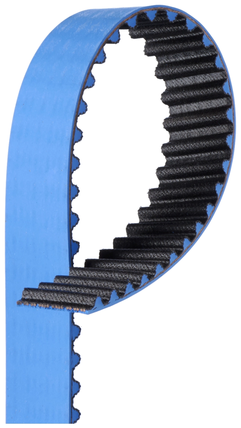 Timing Belt