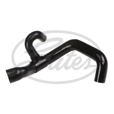 Radiator Hose (3782)