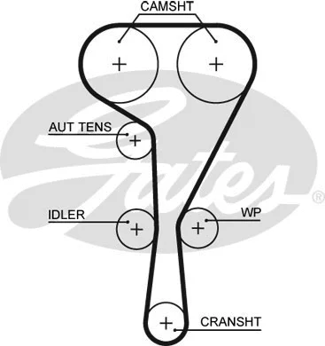 Timing Belt Kit (K035550XS)