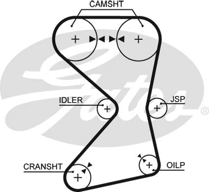 Timing Belt (5258XS)