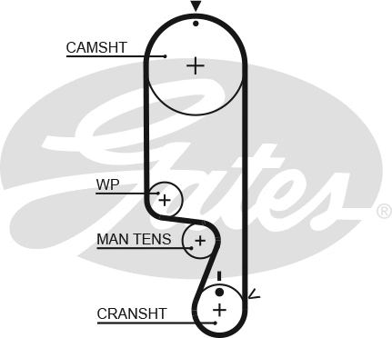 Timing Belt Kit (K025535XS)