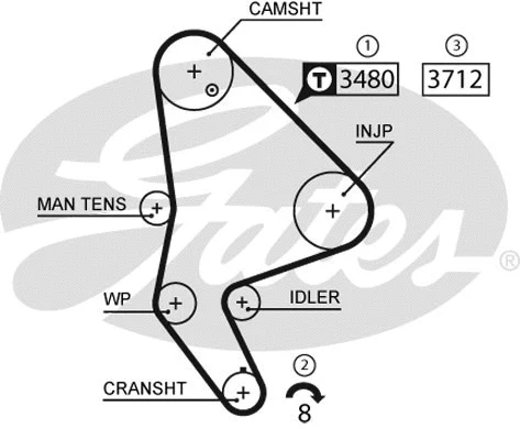 Timing Belt Kit (K025590XS)
