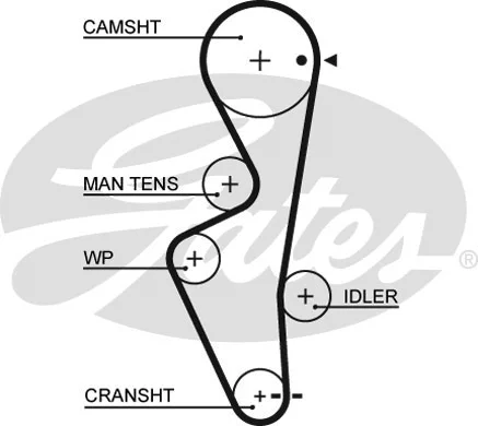 Timing Belt (5430XS)