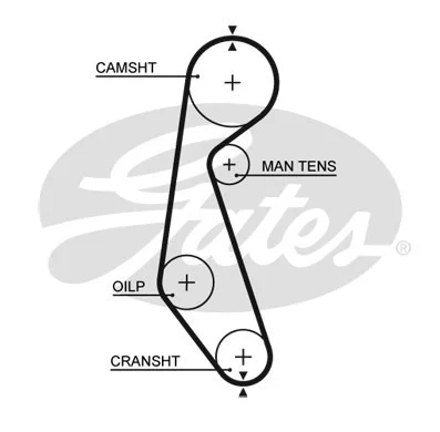 Timing Belt Kit (K015090)